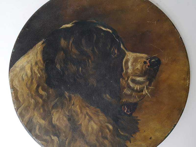 Pair of Dogs