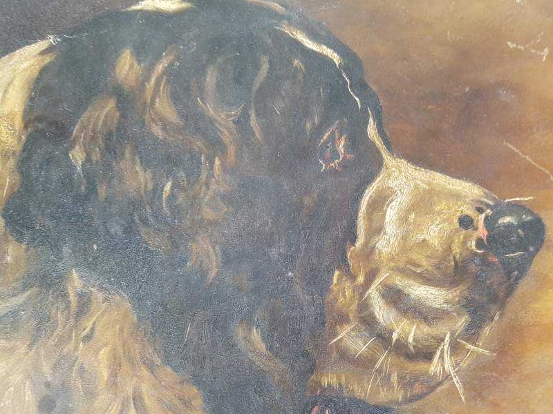 Pair of Dogs