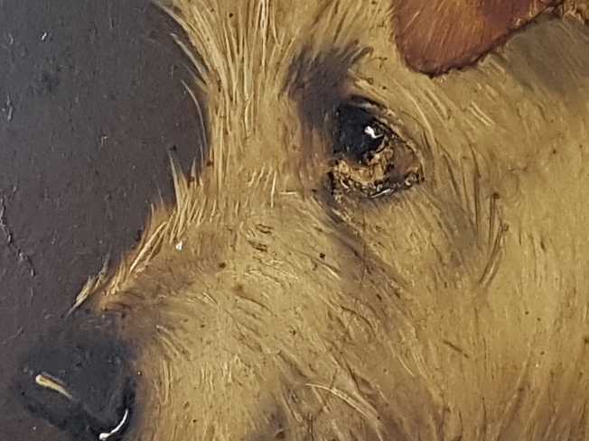 Portrait of a Terrier Dog