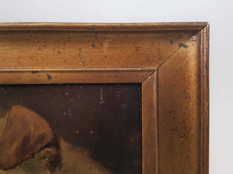 Portrait of a Terrier Dog