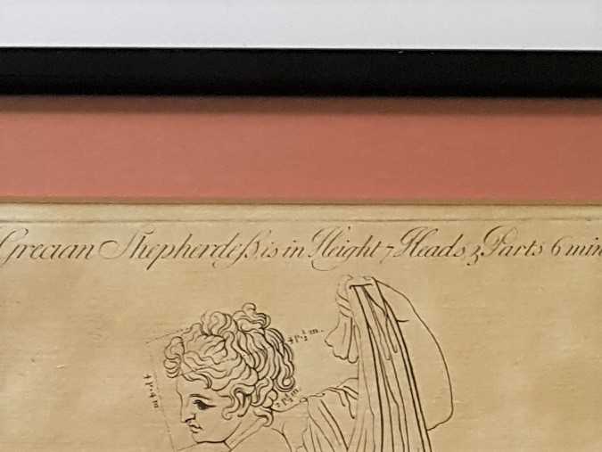 Sculptor's Anatomical Print