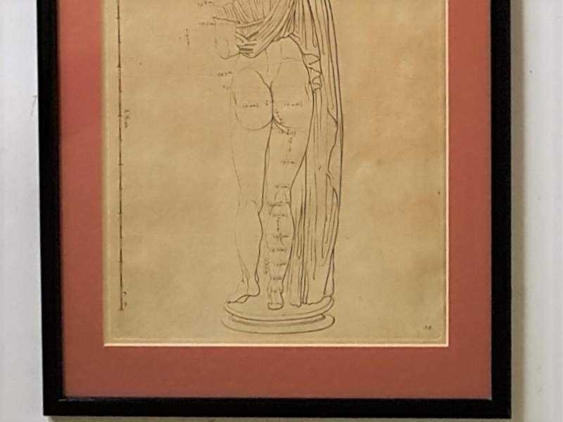 Sculptor's Anatomical Print