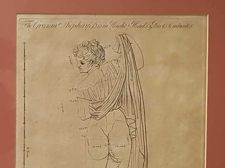Sculptor's Anatomical Print
