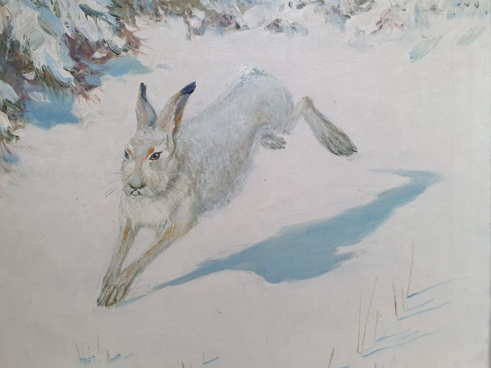 Swedish antique early 1900s oil on canvas, showing a wild hare in snow