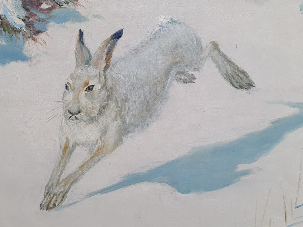 Swedish antique early 1900s oil on canvas, showing a wild hare in snow