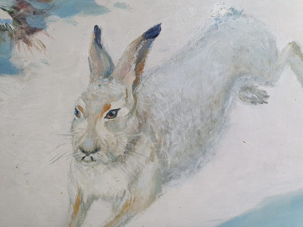 Swedish antique early 1900s oil on canvas, showing a wild hare in snow